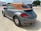 2019 Volkswagen Beetle Convertible 2.0T Final Edition SEL