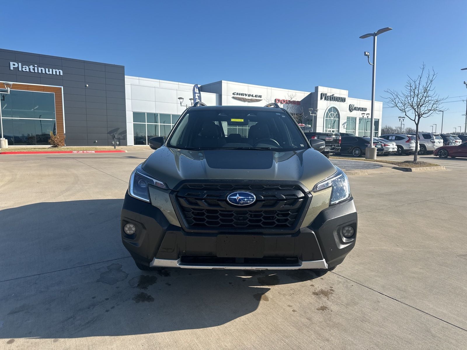 2024 Subaru Forester Wilderness