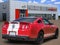 2010 Ford Mustang Shelby GT500