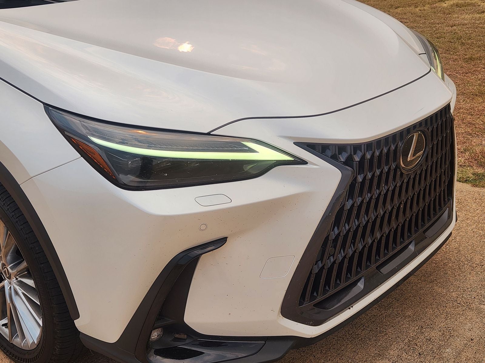2023 Lexus NX 350h Luxury