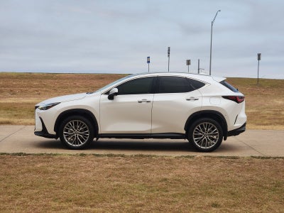 2023 Lexus NX 350h Luxury