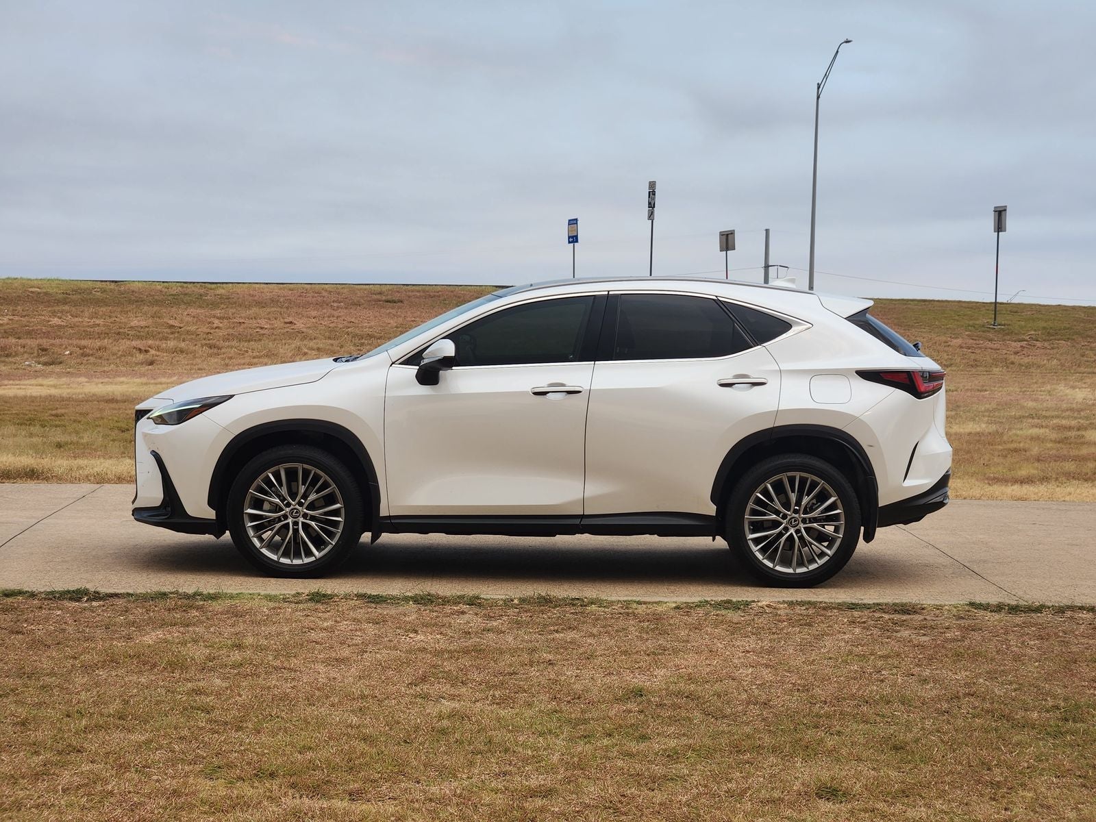 2023 Lexus NX 350h Luxury