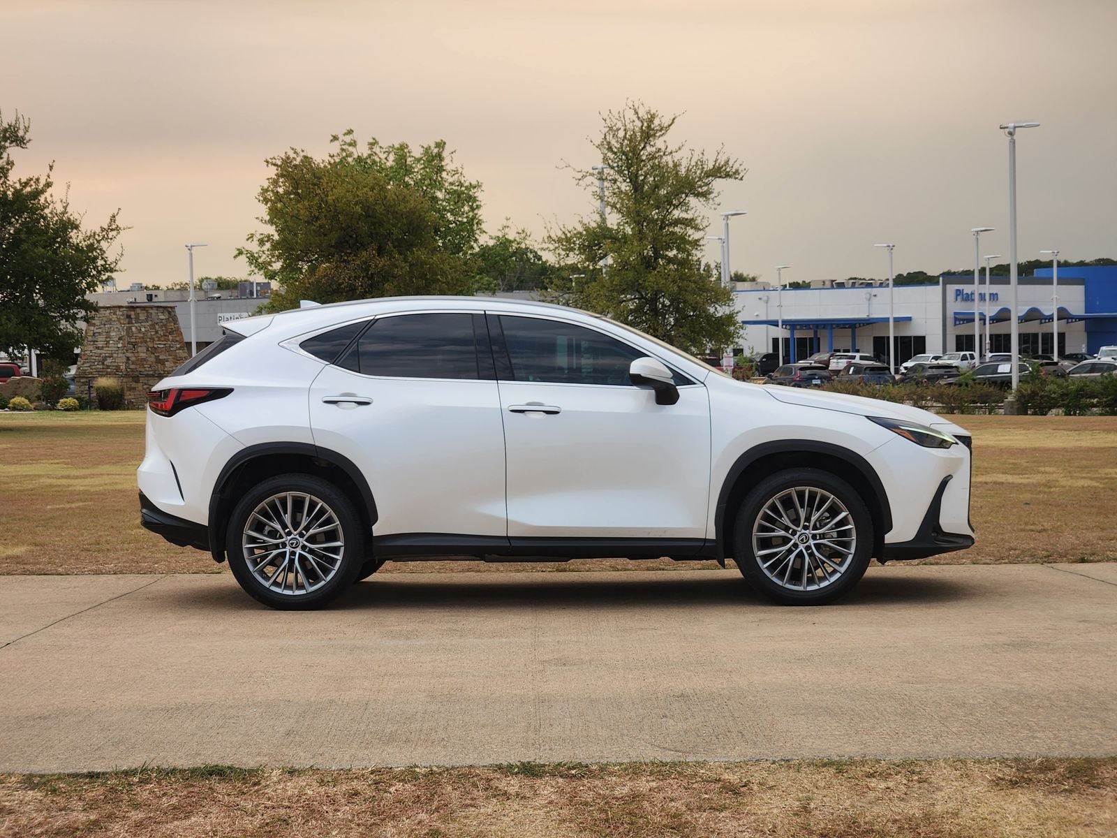 2023 Lexus NX 350h Luxury