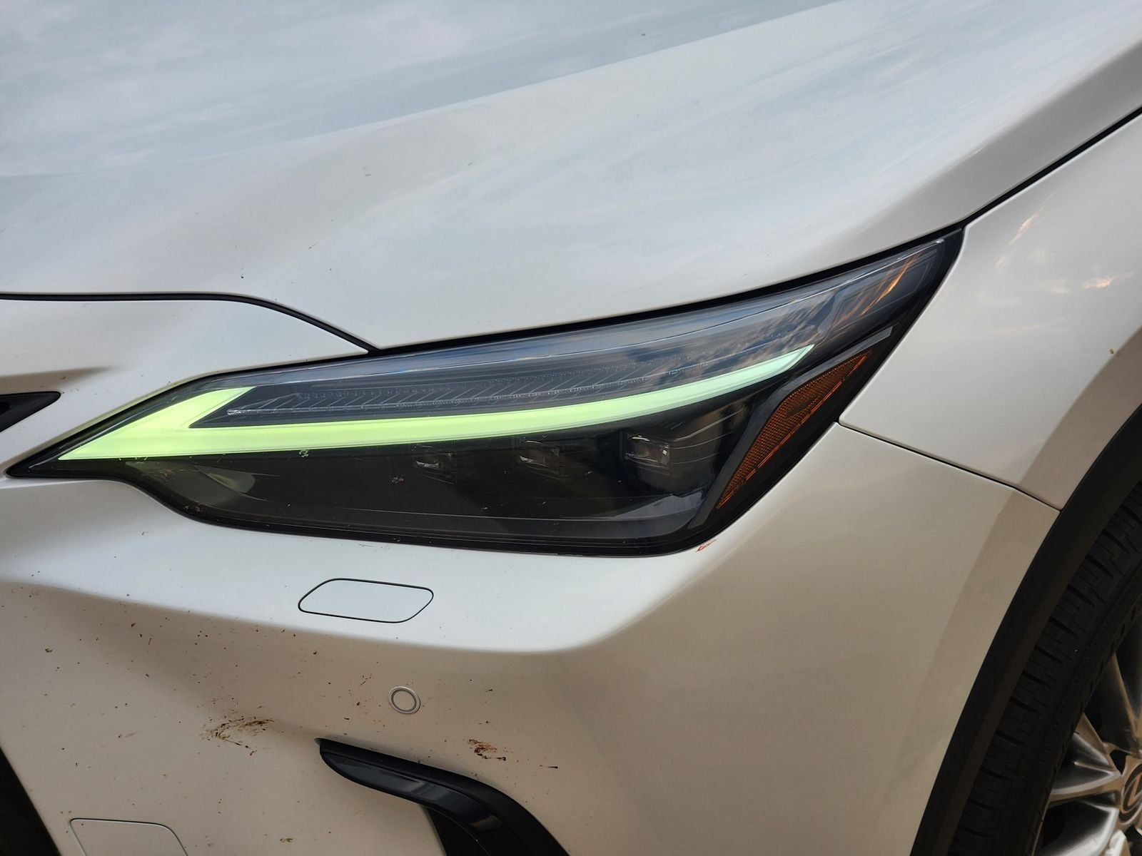 2023 Lexus NX 350h Luxury