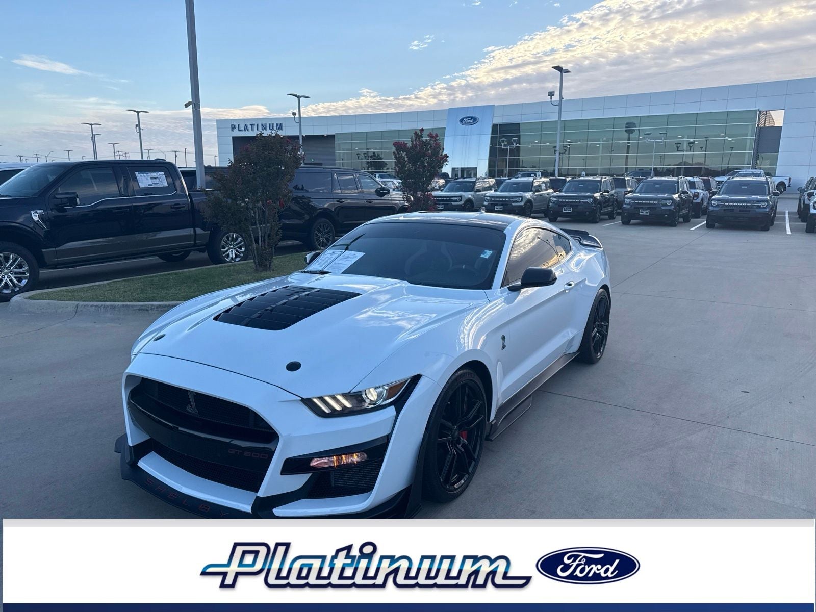 2020 Ford Mustang Shelby GT500