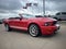 2007 Ford Mustang Shelby GT500